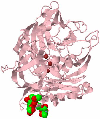 Image Biological Unit 3