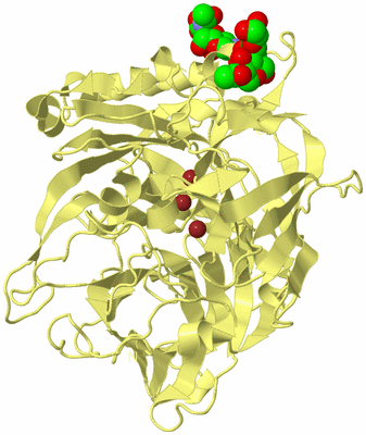 Image Biological Unit 4