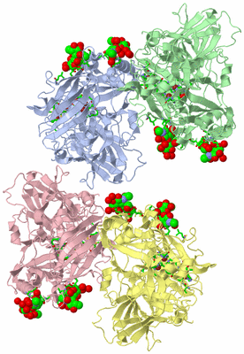 Image Asym. Unit - sites