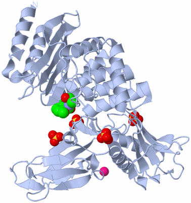 Image Biological Unit 1