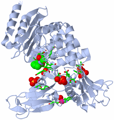 Image Biol. Unit 1 - sites