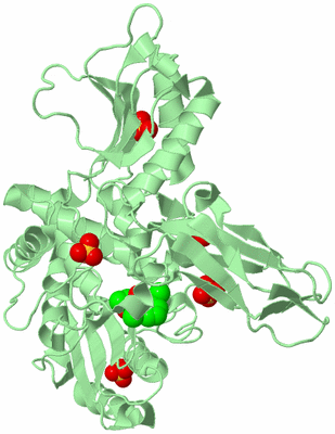 Image Biological Unit 2