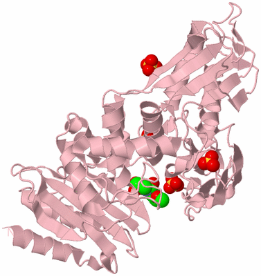 Image Biological Unit 3