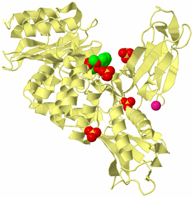 Image Biological Unit 4