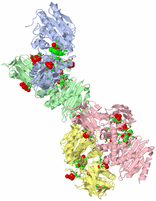 Image Asym. Unit - sites