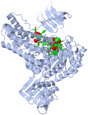 Image Biol. Unit 1 - sites