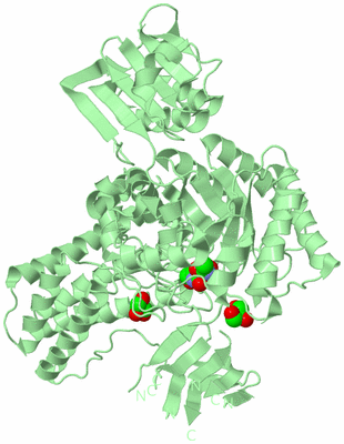 Image Biological Unit 2