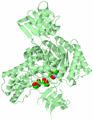 Image Biological Unit 2