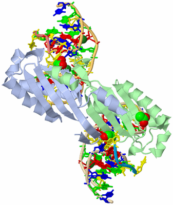 Image Biological Unit 2