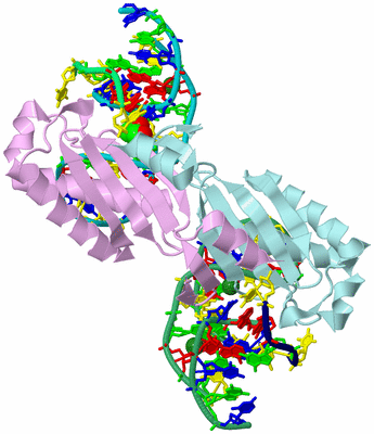 Image Biological Unit 3