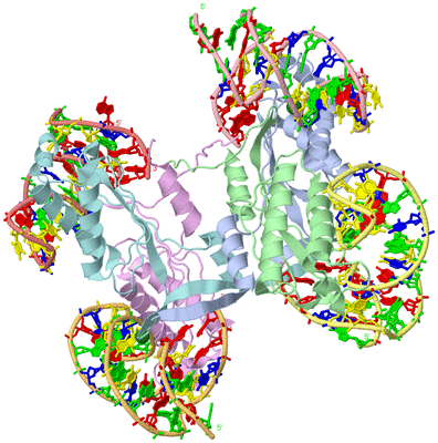 Image Asym./Biol. Unit