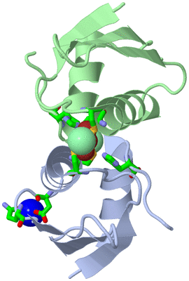 Image Asym./Biol. Unit - sites