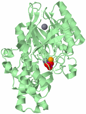 Image Biological Unit 2