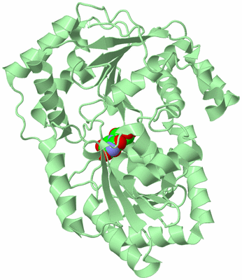 Image Biological Unit 2