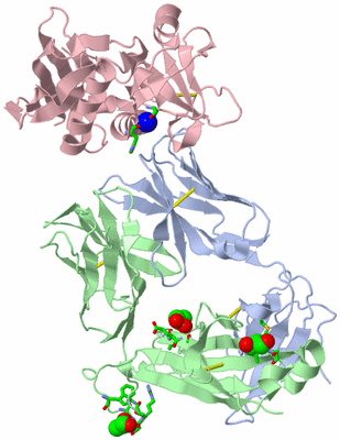 Image Asym./Biol. Unit - sites