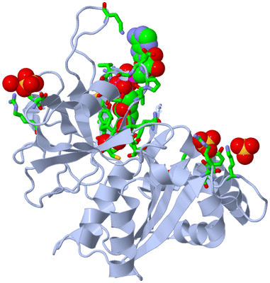 Image Biol. Unit 1 - sites