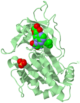 Image Biological Unit 2