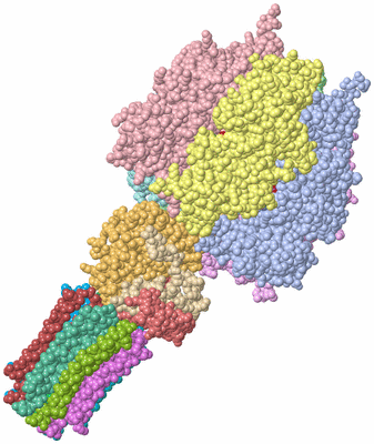 Image Asym./Biol. Unit