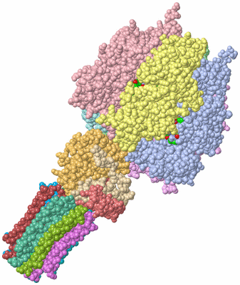 Image Asym./Biol. Unit - sites