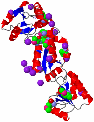 Image Asym./Biol. Unit