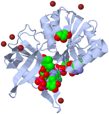 Image Biological Unit 1