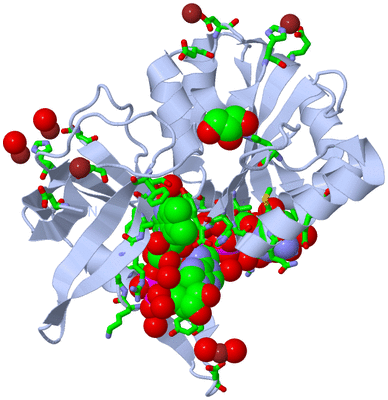 Image Biol. Unit 1 - sites