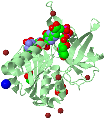 Image Biological Unit 2