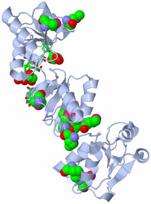 Image Biol. Unit 1 - sites