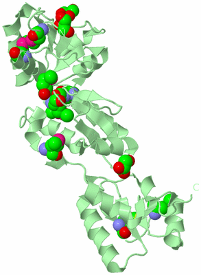 Image Biological Unit 2