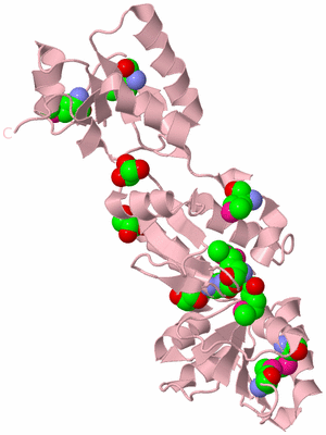 Image Biological Unit 3