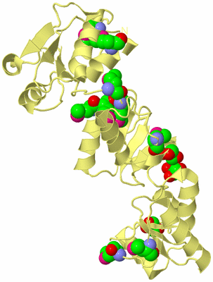 Image Biological Unit 4