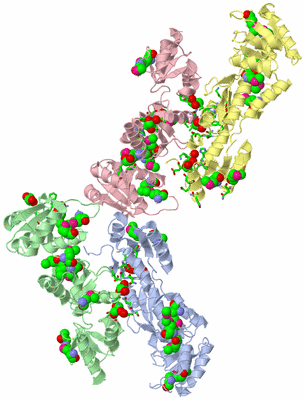 Image Asym. Unit - sites