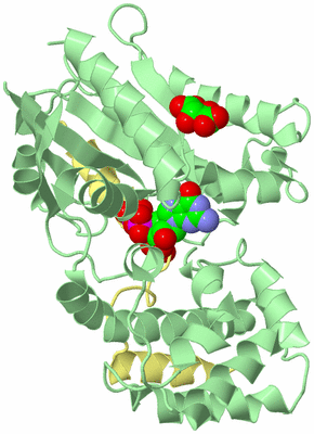 Image Biological Unit 1