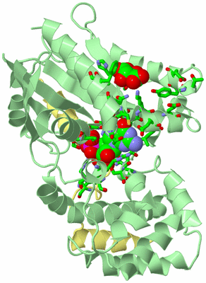 Image Biol. Unit 1 - sites