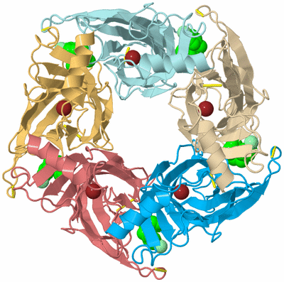 Image Biological Unit 1