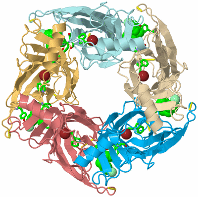 Image Biol. Unit 1 - sites