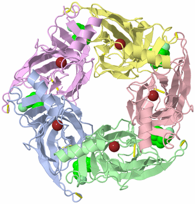 Image Biological Unit 2