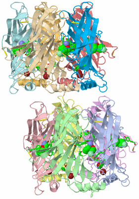 Image Asym. Unit - sites