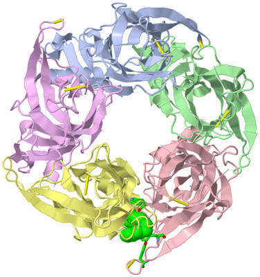 Image Asym./Biol. Unit - sites