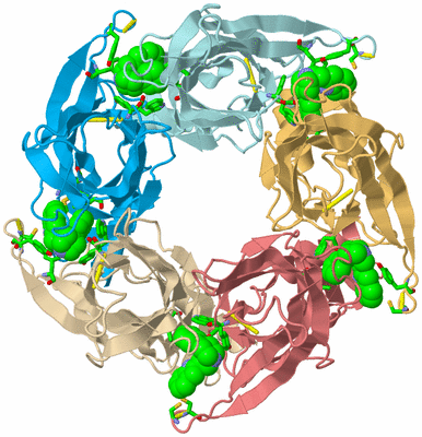 Image Biol. Unit 1 - sites