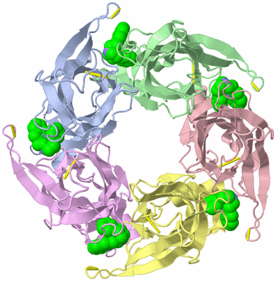 Image Biological Unit 2