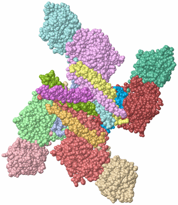 Image Asym./Biol. Unit