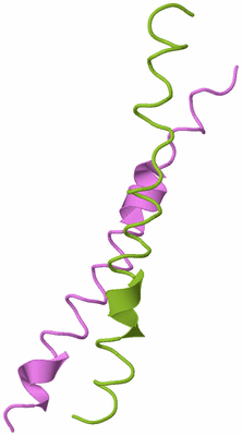 Image Biological Unit 3