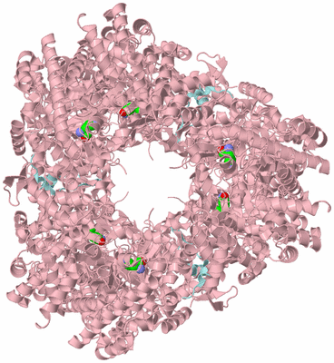 Image Biological Unit 1