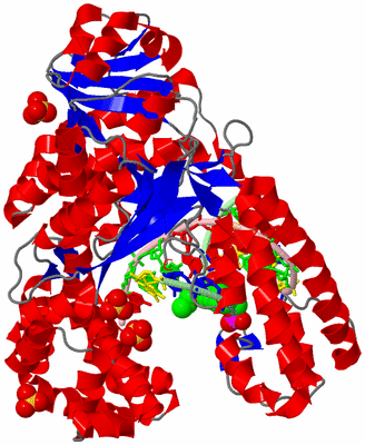 Image Asym./Biol. Unit