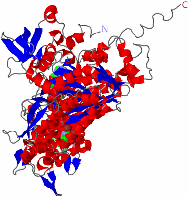 Image Asym./Biol. Unit