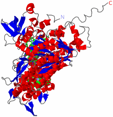 Image Asym./Biol. Unit - sites