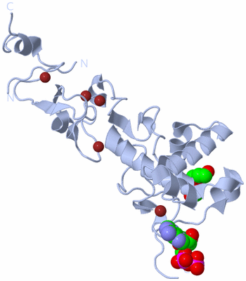 Image Biological Unit 1