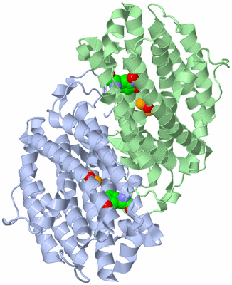 Image Asym./Biol. Unit