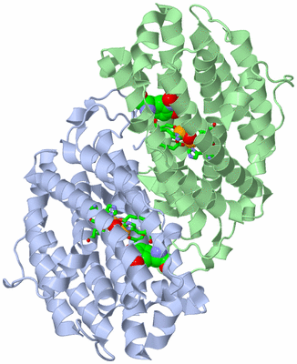 Image Asym./Biol. Unit - sites